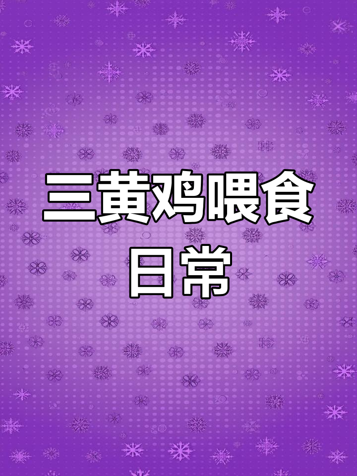 小骨三黄鸡吃啥都剩,下蛋小能手,九斤大母鸡也能生