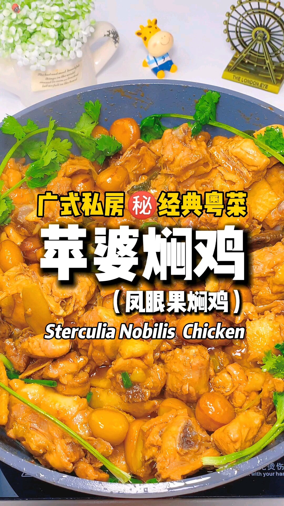  苹婆焖鸡 广东第①好吃的焖鸡做法