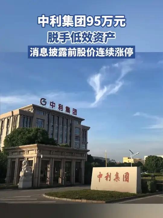 中利集团95万元脱手低效资产,消息披露前股价连续涨停(每日经济新闻)