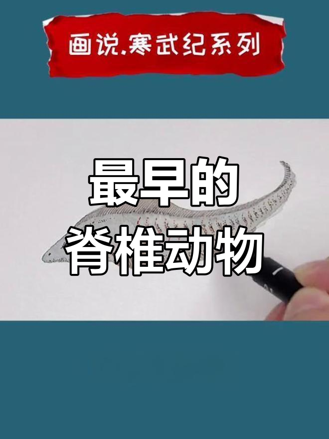 昆明鱼:五亿年前最古老脊椎动物,揭秘寒武纪化石