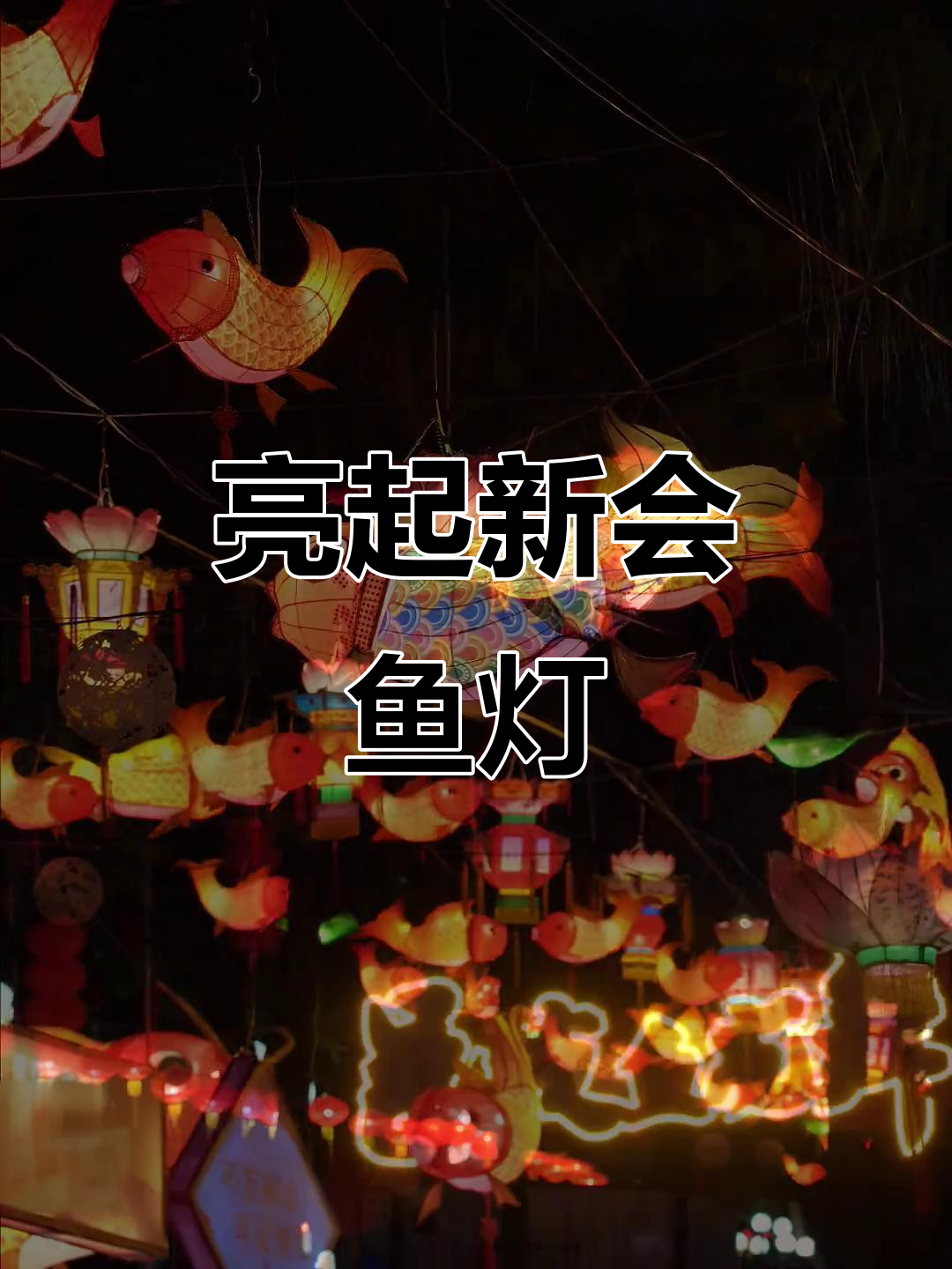 新会鱼灯点亮,年味满满!