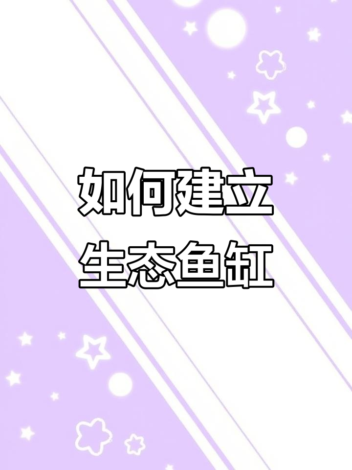 打造生态鱼缸,从过滤到水草全解析