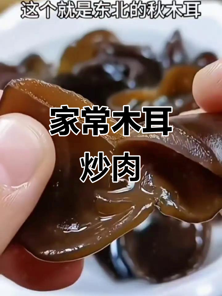 秋木耳炒肉,家常下饭新做法!