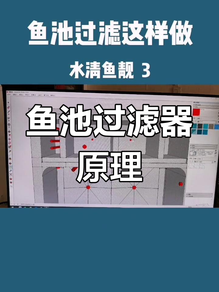 鱼池过滤系统全解析:排污、沉淀与深化仓详解