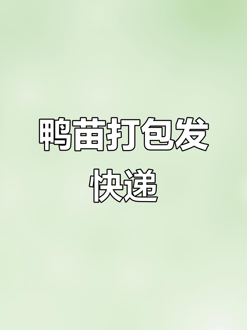 鸭苗快递发货,二十只一包,轻松养禽