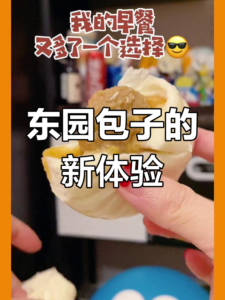 淮扬包子新选择,肉菜皆美味,省去排队烦恼!