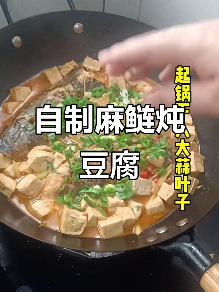 麻鲢炖豆腐,简单又美味的生活小确幸