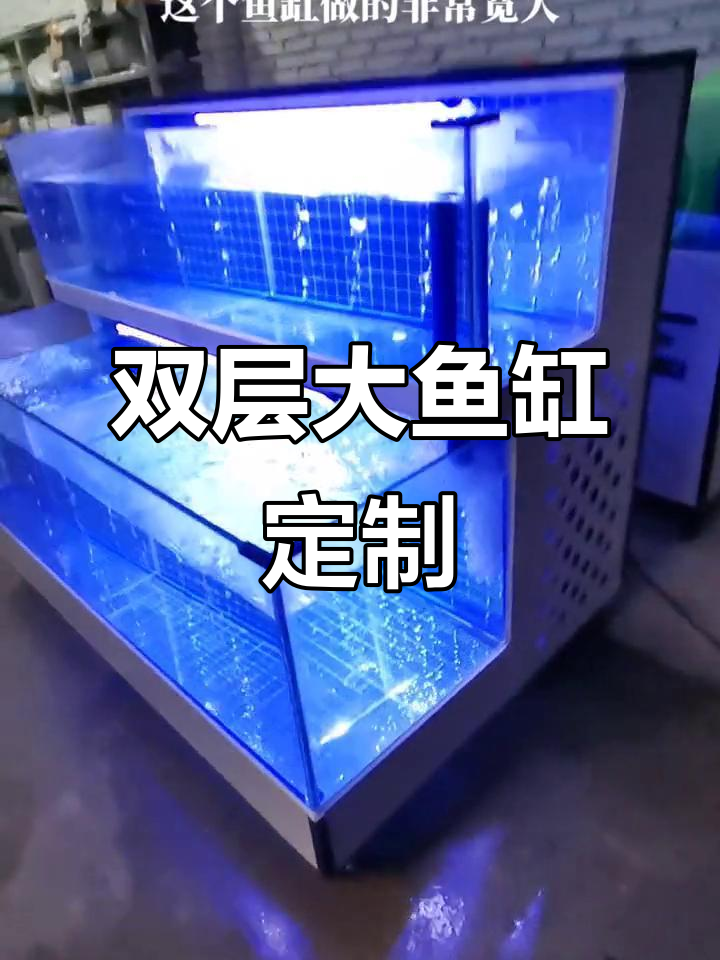 1.5米双层鱼缸,海鲜淡水都能养