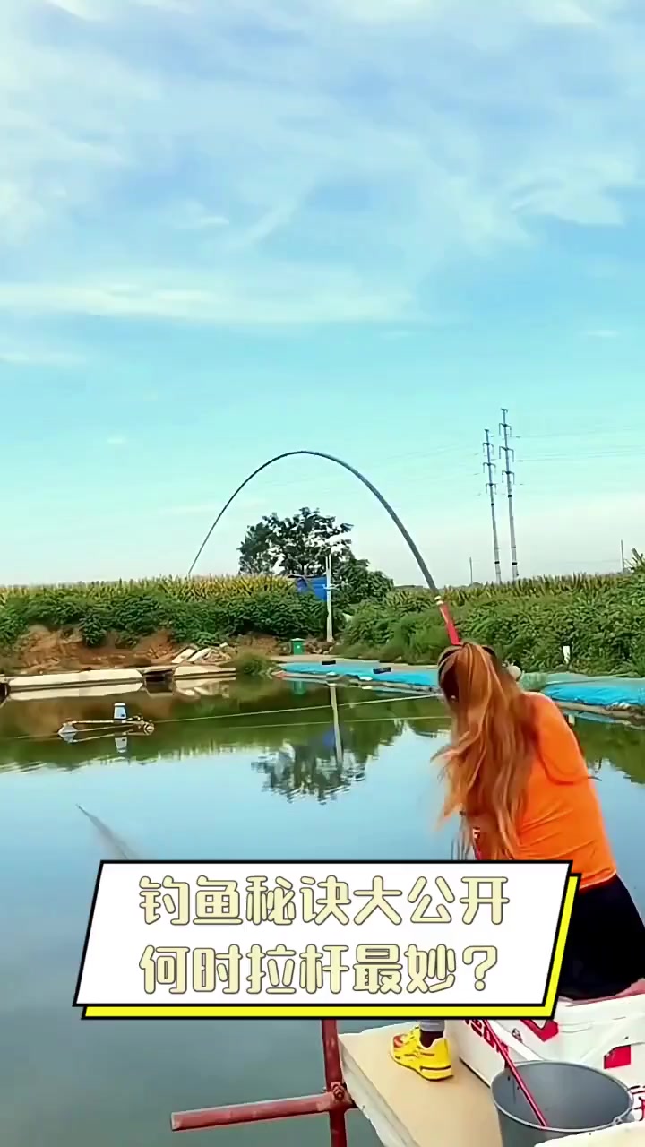 钓鱼秘诀大公开,何时拉杆最妙?