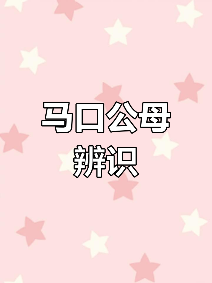 马口公母分辨,豚鳍是关键