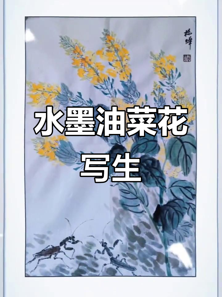 油菜花水墨写生,花开富贵好运来
