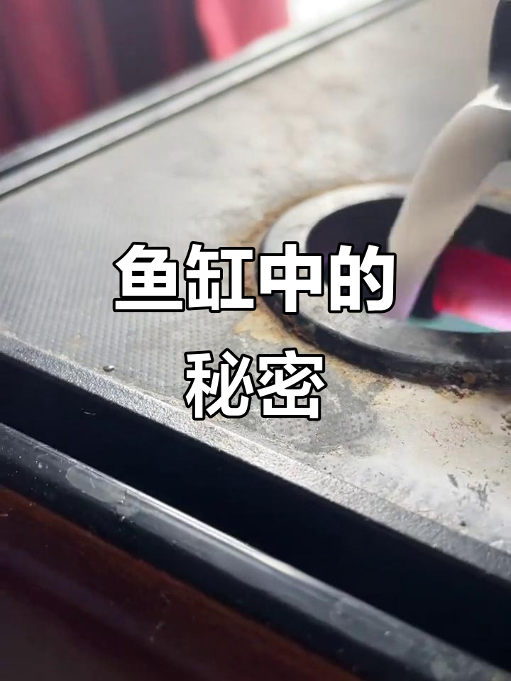 鱼缸里的白色液体不是酸奶,其实是硝化细菌!