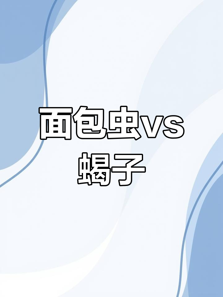 黄粉虫大战天蝎,蛋白质饲料宝库的惊人力量