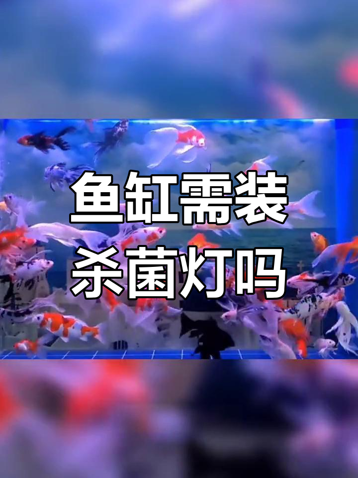 鱼缸杀菌灯使用指南:如何正确安装与避免误伤