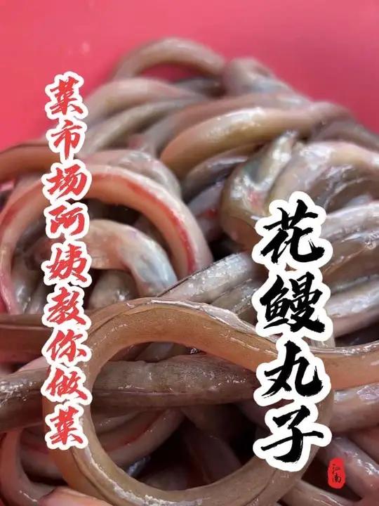 同学们,这个鳗鱼你们那儿叫什么名字?我这一斤10块贵不贵呢?