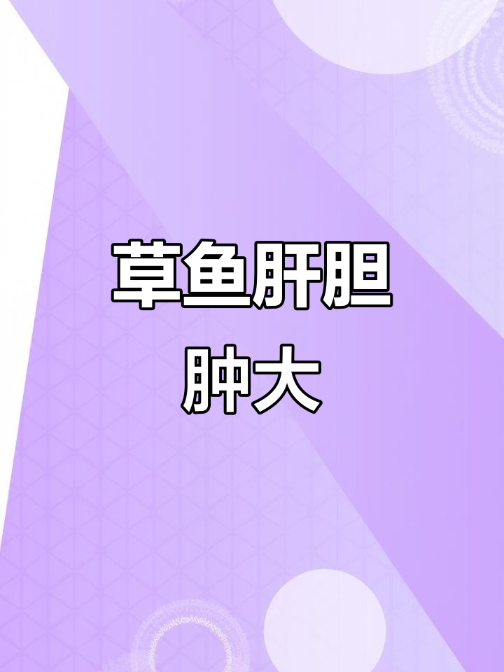 草鱼苗肝胆综合症症状解析,如何应对?