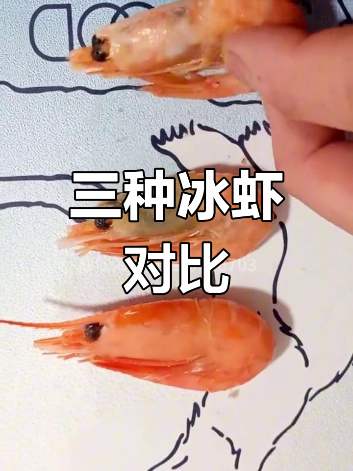 冰虾种类大揭秘,头籽最美味