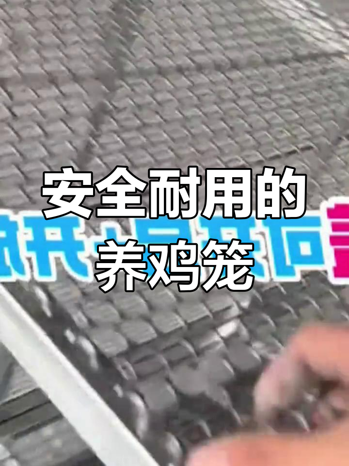 户外防鼠养殖鸡笼,安全耐用不怕雨雪