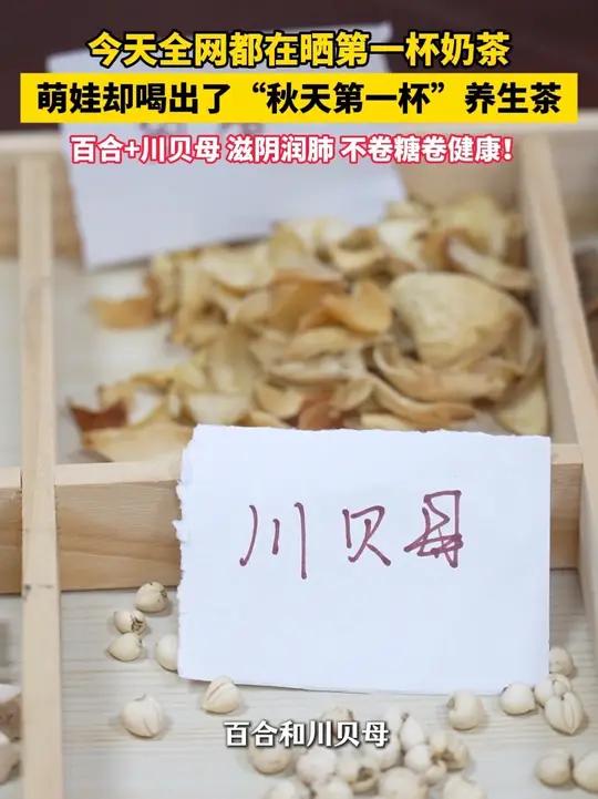 今天全网都在晒第一杯奶茶，萌娃却喝出了“秋天第一杯”养生茶，百合+川贝母 阴润肺不卷糖卷健