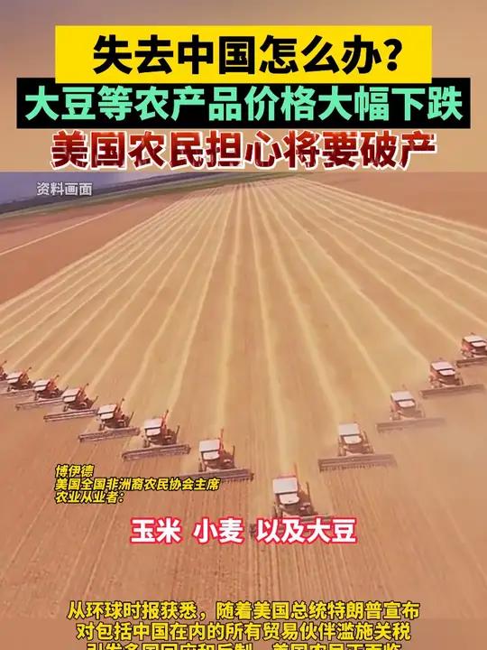 失去中国怎么办?大豆等农产品价格大幅下跌,美国农民担心将要破产