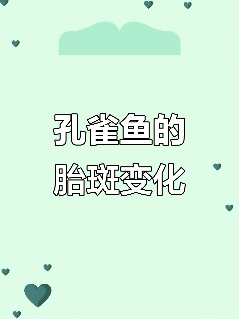 如何判断孔雀鱼是否怀孕，何时会生？