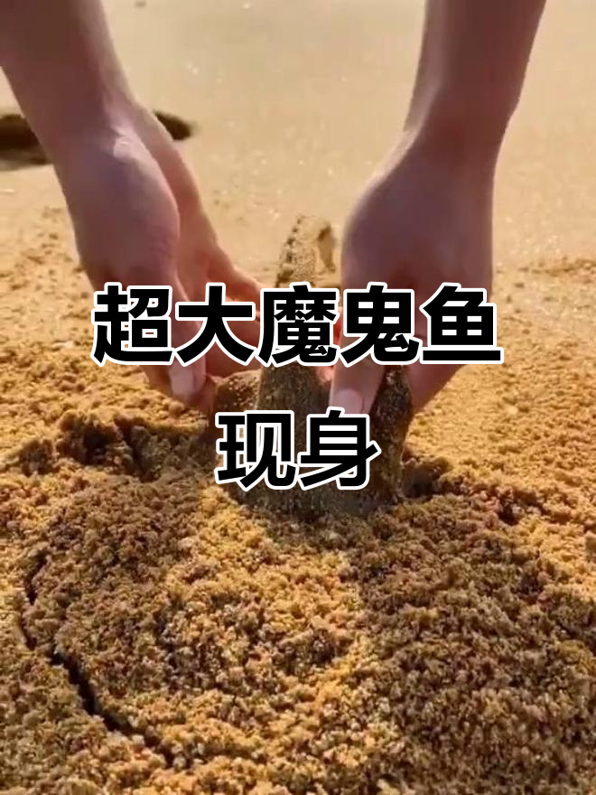 沙滩上发现一只超大的魔鬼鱼,竟然有这么长的尾巴!
