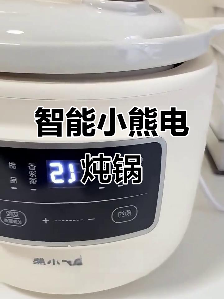 小熊电炖锅,1.5升大容量智能烹饪,汤鲜肉嫩轻松搞定