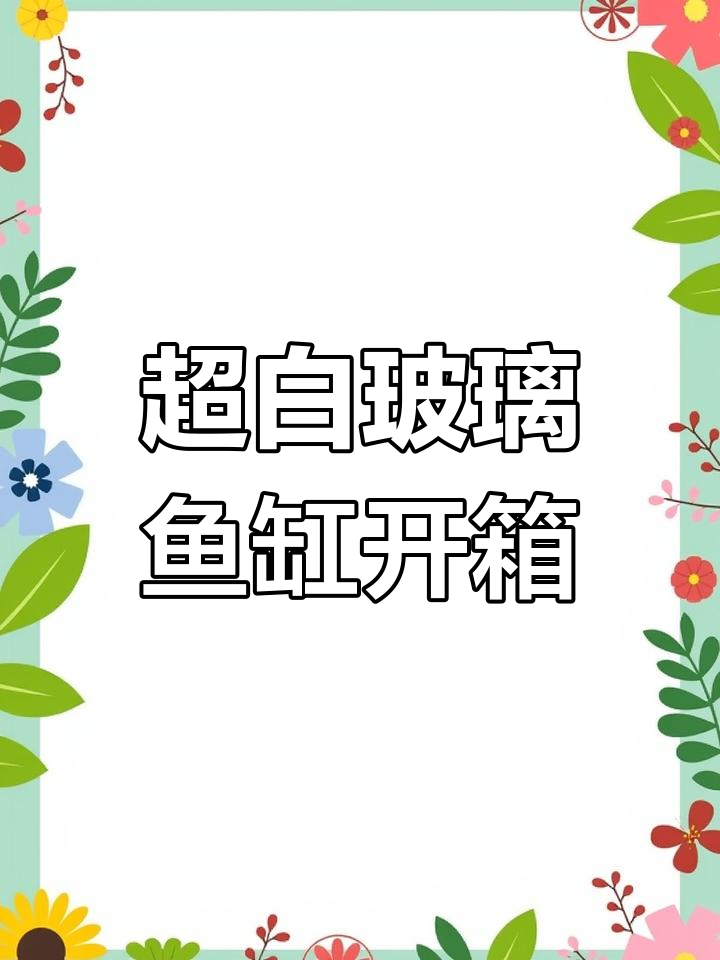 贝森50金晶超白玻璃鱼缸开箱,配件齐全安装简便