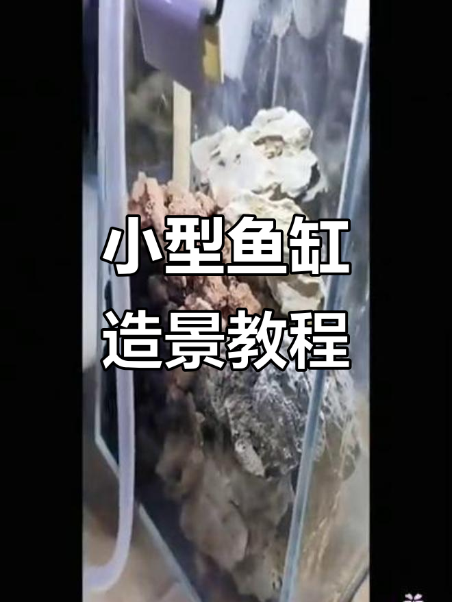 微型鱼缸造景全攻略，青龙石与水草搭配打造完美景观