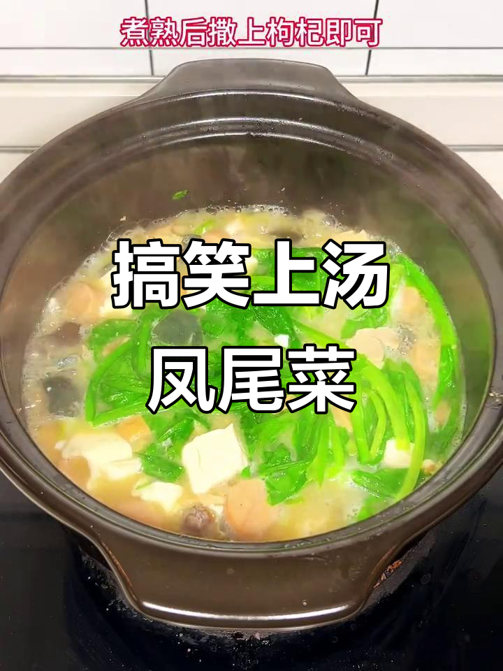 上汤凤尾菜，看错笑出声