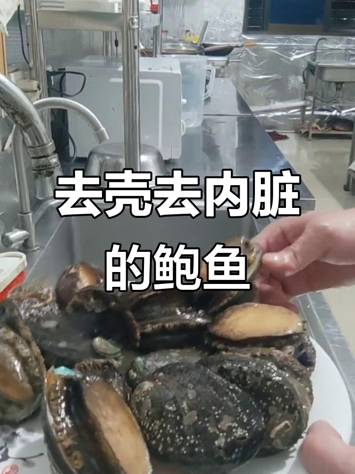 新鲜鲍鱼去内脏,简单操作让你轻松搞定