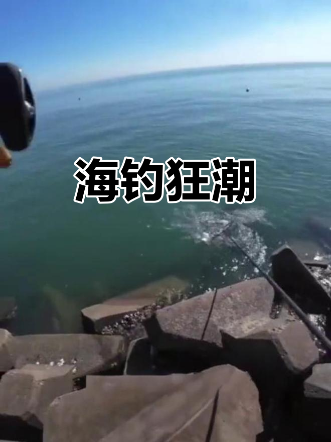 秦皇岛夜钓盛况,多种海鱼齐聚,钓鱼爱好者纷纷出动