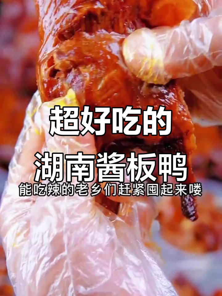 湖南特色酱板鸭,干爽耐嚼又辣味十足,吃上一口停不下来