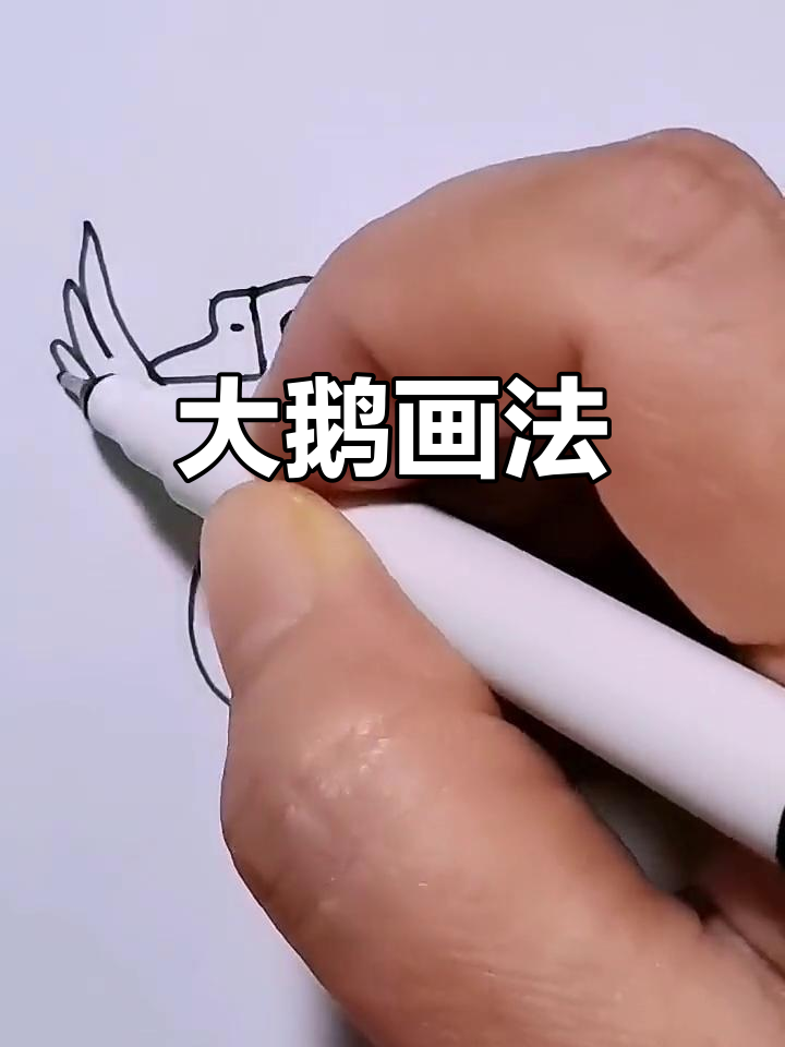 亲子简笔画:大鹅戏水,翅膀长又美