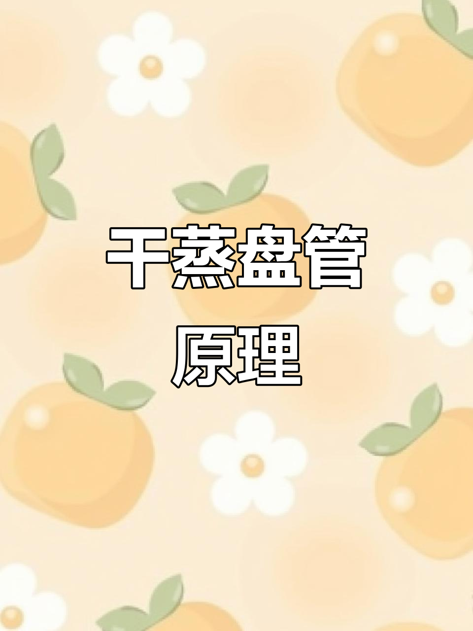 干蒸盘管设备如何工作?原理解析