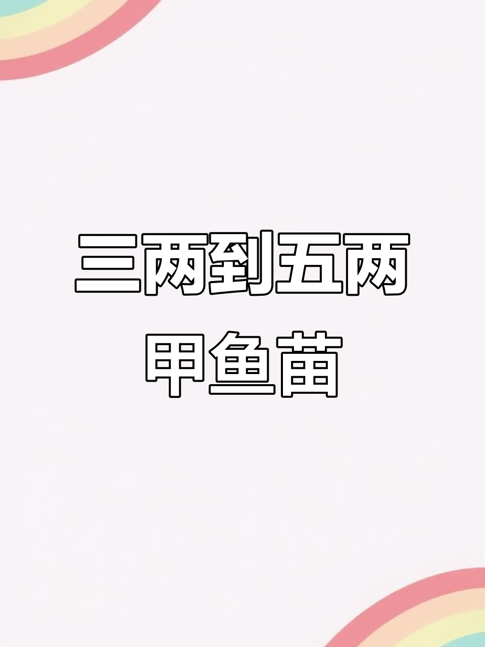 甲鱼苗养殖专用,公母搭配更佳