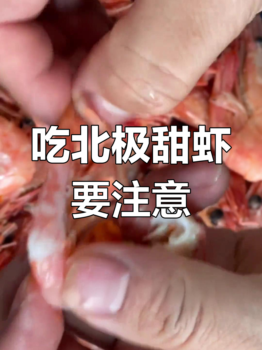 北极甜虾的正确吃法,避免误食危险部位