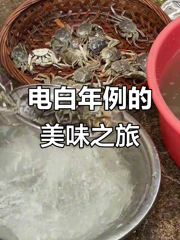 茂名电白年例:传统美食与欢乐时光的完美结合