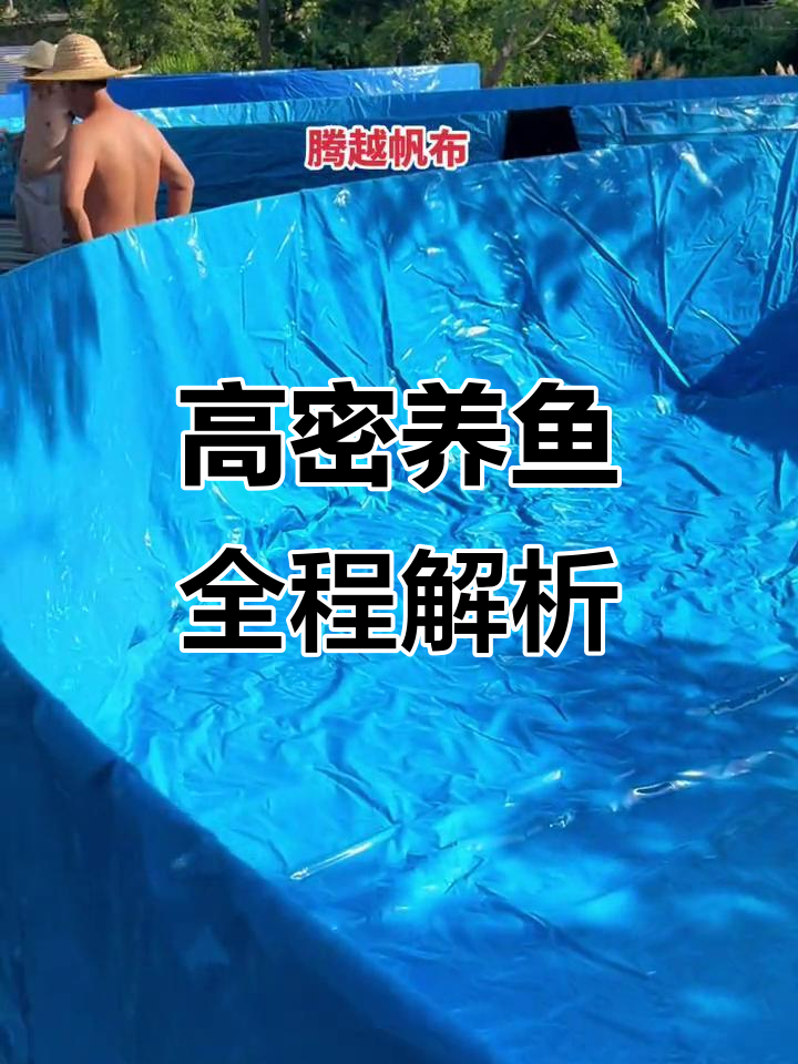 镀锌板鱼池搭建全纪录,高密度养殖轻松上手!