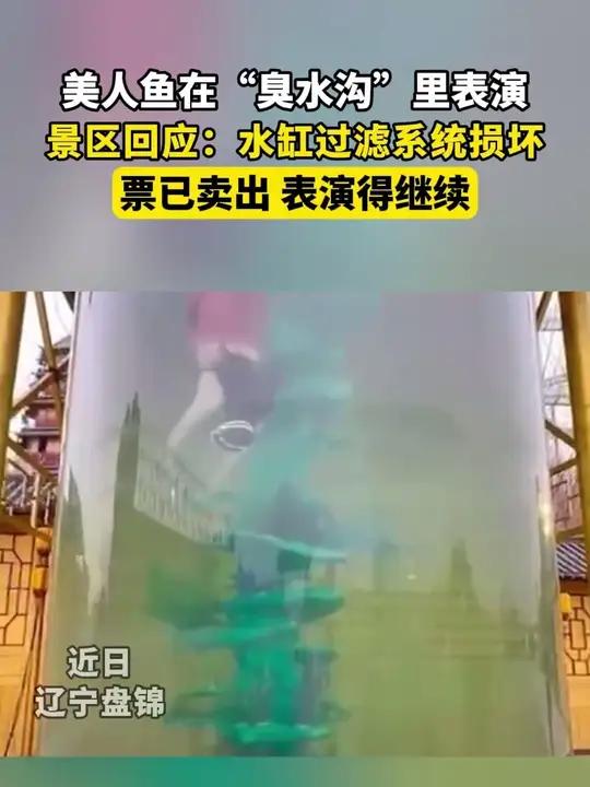 美人鱼在“臭水沟”里表演 景区回应:水缸过滤系统损坏 票已卖出 表演得继续