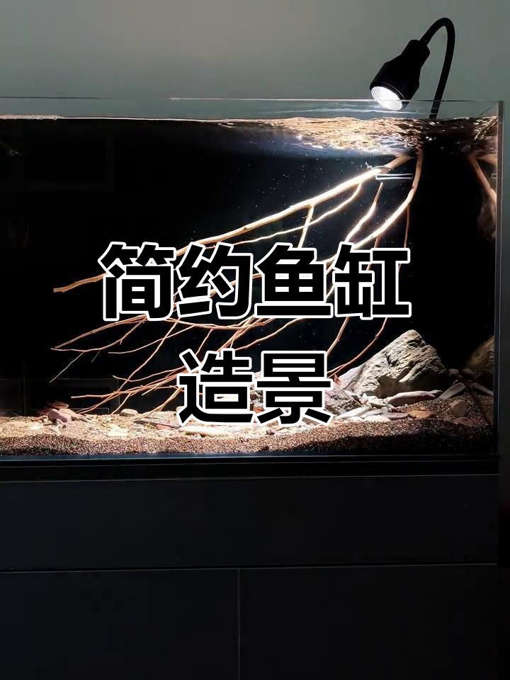 鱼缸造景简单就好,沙子石头搭配搞定!