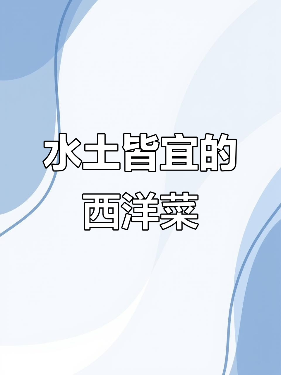 西洋菜水培土培都行,懒人必备阳台小院都能种