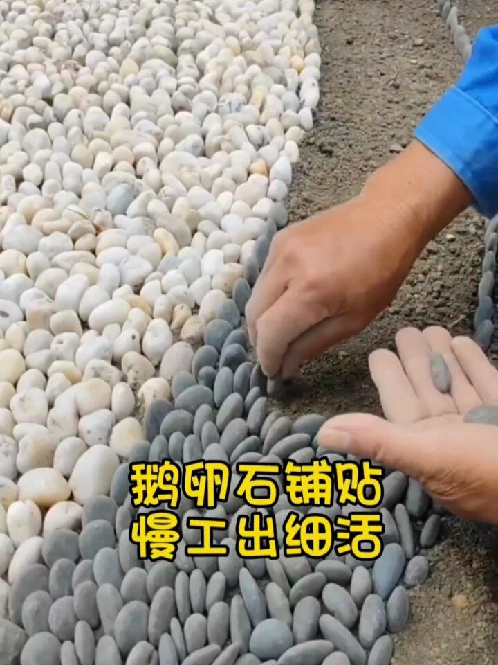第302集|鹅卵石铺贴,慢工出细活