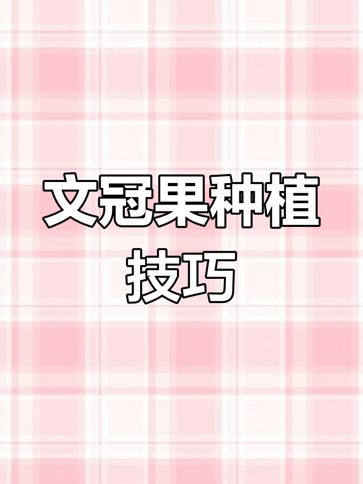 播种文冠果,选好土壤,适时浇水施肥,防治病虫害