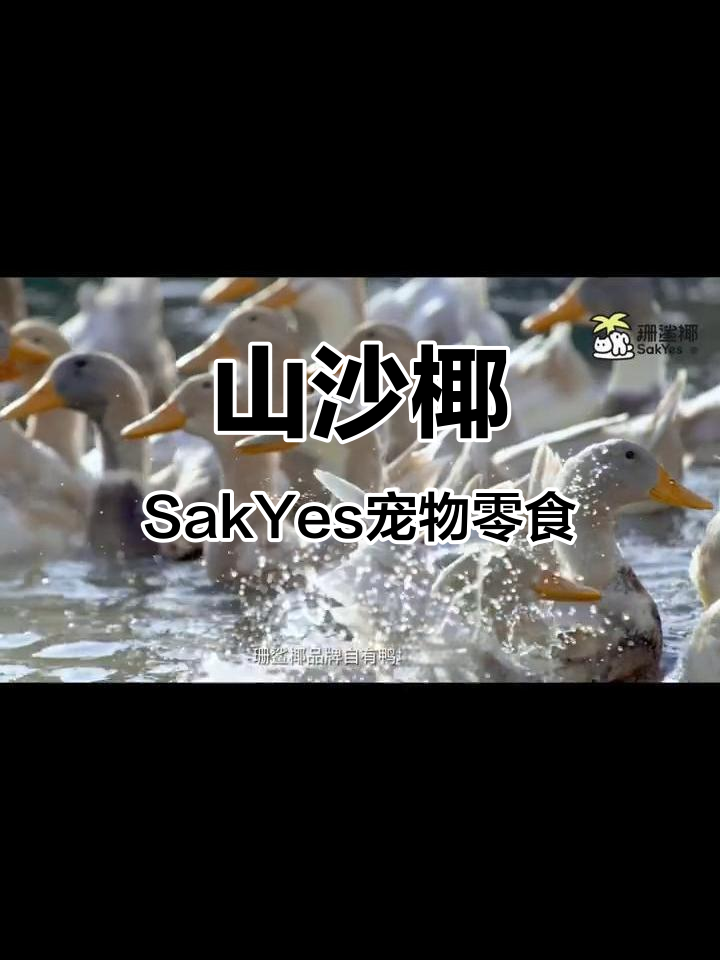 海南原生态咸水鸭,山沙椰SakYes宠物零食的独特魅力