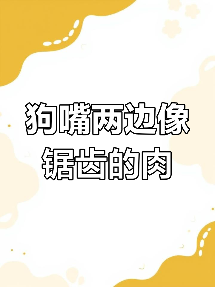 狗狗嘴巴两边的锯齿肉,到底有啥用?