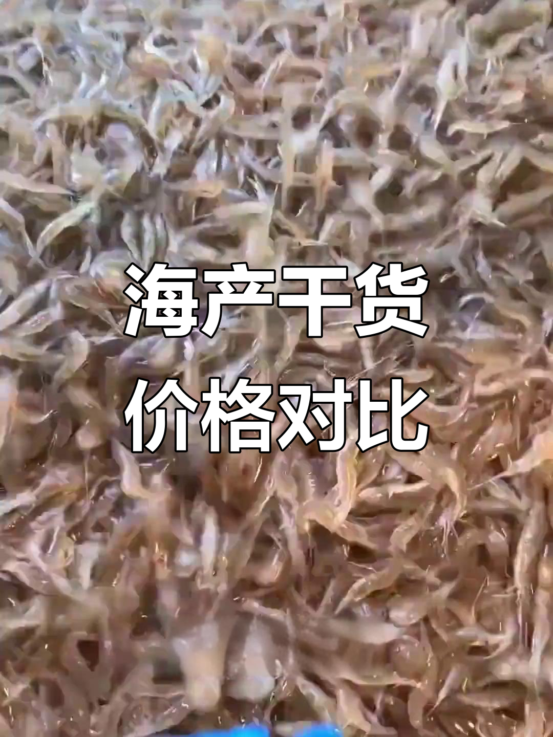 各种海鲜大揭秘:皮琶虾、青龙虾到毛虾,价格差异竟然这么大!