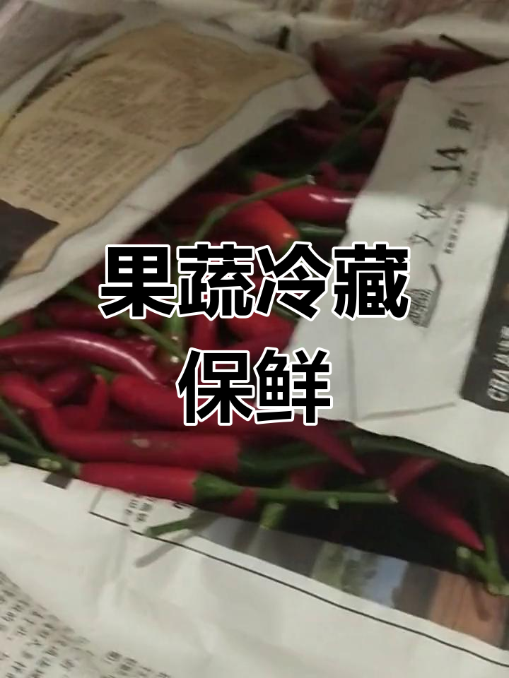 八百米果蔬保鲜冷库助力辣椒丰收