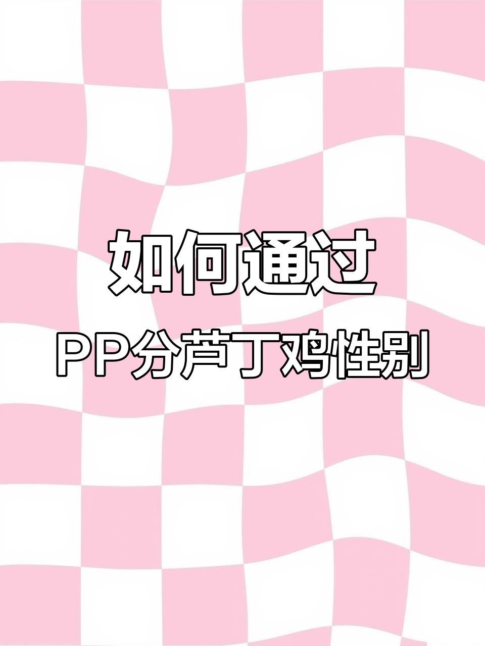芦丁鸡公母分辨技巧,看泄殖腔轻松辨别