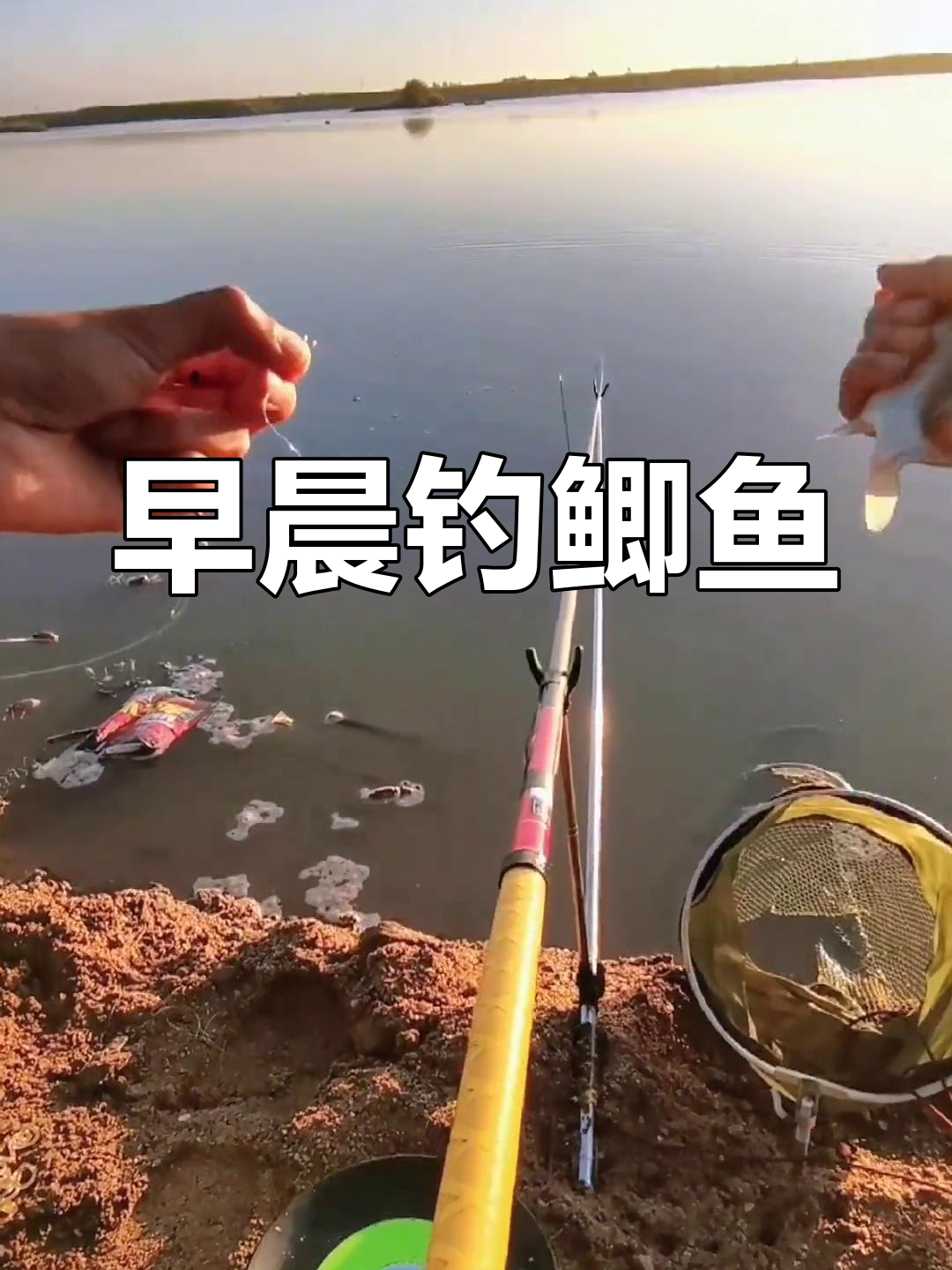 晚上钓鱼为何没口?